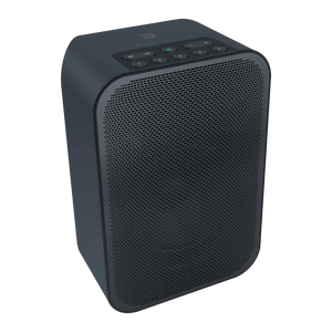 Bluesound - Pulse Flex 2i - Compact Wireless Streaming Speaker